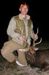 Texas Hill Country whitetail deer