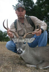 Texas Hill Country whitetailed deer