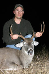 Texas Hill Country whitetailed deer