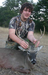 Texas Hill Country whitetailed deer
