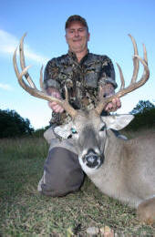 Texas Hill Country whitetailed deer