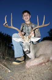 Texas Hill Country whitetailed deer