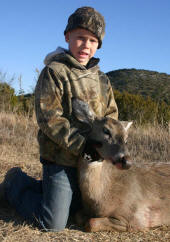 Texas Hill Country whitetailed deer