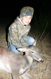 Texas Hill Country whitetailed deer