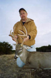 Texas Hill Country whitetailed deer