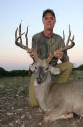 Texas Hill Country whitetail deer