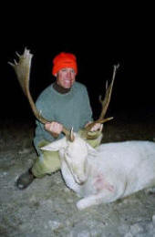 Texas Hill Country whitetailed deer